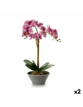 Planta Decorativa Orquídea 20 x 60 x 28 cm (2 Unidades)