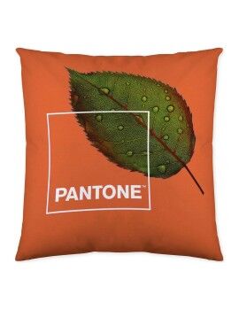 Capa de travesseiro Nature Pantone Reversível 50 x 50 cm