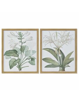 Pintura DKD Home Decor 43 x 3 x 53 cm Plantas botânicas (2 Unidades)
