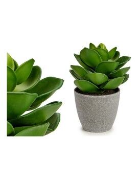 Planta Decorativa Cinzento 16 x 21 x 16 cm Verde Plástico