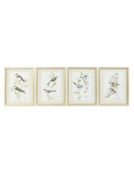 Pintura DKD Home Decor 35 x 2,5 x 45 cm Tradicional Pássaros (4 Peças)