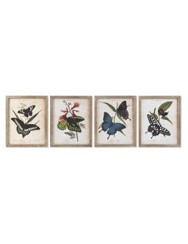 Cuadro DKD Home Decor Mariposas 40 x 2 x 50 cm Shabby Chic (4 Piezas)