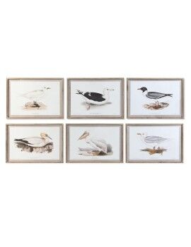 Pintura DKD Home Decor 70 x 2,5 x 50 cm Tradicional Pássaros (6 Peças)