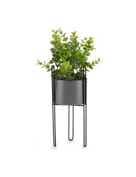 Planta Decorativa Cinzento Eucalipto Com suporte Metal Plástico (13 x 40 x 13 cm)