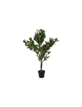 Planta Decorativa DKD Home Decor Rosa Verde PE (60 x 60 x 125 cm)