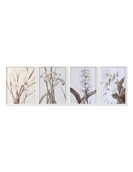 Cuadro DKD Home Decor Cristal Abedul 55 x 70 x 2,5 cm 55 x 2,5 x 70 cm Flores (4 Piezas)