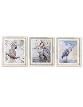 Pintura DKD Home Decor 40 x 1,6 x 60 cm Pássaros Mediterrâneo (3 Peças)