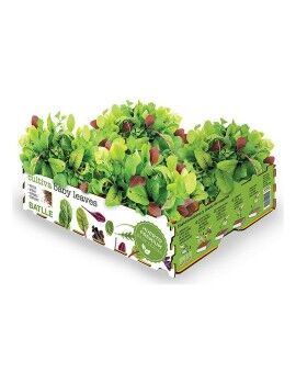 Conjunto de Cultivo Batlle Baby Leaves Saladas 40 x 29 x 10,5 cm 2,6 Kg