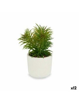 Planta Decorativa Branco Verde (14 x 20 x 14 cm) (12 Unidades)