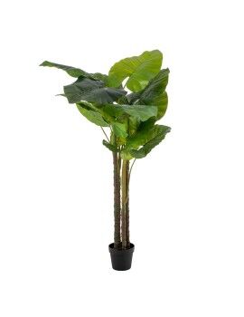 Planta Decorativa 75 x 60 x 155 cm Verde Philodendro