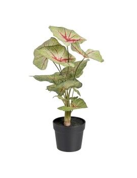 Planta Decorativa Vermelho Verde PVC 40 x 35 x 55 cm