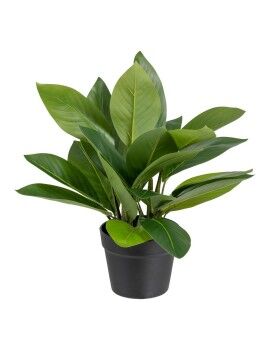 Planta Decorativa 50 x 45 x 48 cm Verde PVC