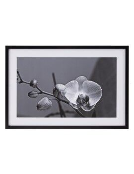 Tela Orquídea 65 x 2 x 95 cm Flor