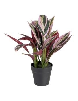 Planta Decorativa 44 x 39 x 48 cm Rosa Verde PVC