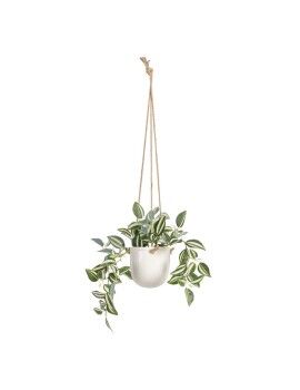 Planta Decorativa 24 x 35 x...