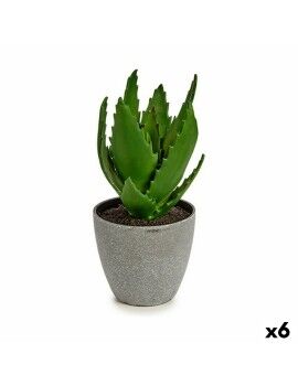 Planta Decorativa Aloe Vera 14 x 21 x 14 cm Gris Verde Plástico (6 Unidades)