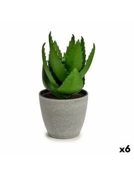 Planta Decorativa Aloé Vera 15 x 23,5 x 15 cm Cinzento Verde Plástico (6 Unidades)