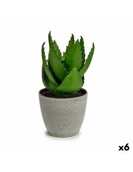 Planta Decorativa Aloe Vera 15 x 23,5 x 15 cm Gris Verde Plástico (6 Unidades)