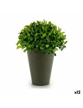 Planta Decorativa Plástico 13 x 16 x 13 cm Verde Cinzento (12 Unidades)