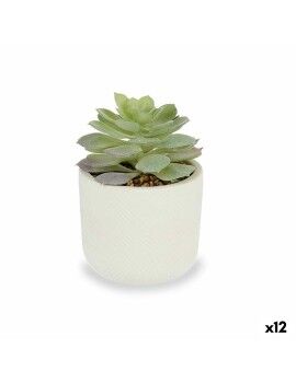 Planta Decorativa Suculenta Plástico 14 x 13,5 x 14 cm (12 Unidades)