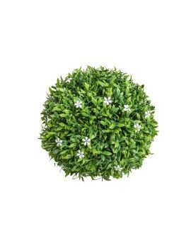 Planta Decorativa   Bola Flor de Azahar 20 x 20 x 20 cm