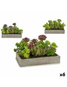 Planta Decorativa Suculenta Plástico Cemento 16,5 x 20 x 28,5 cm (6 Unidades)