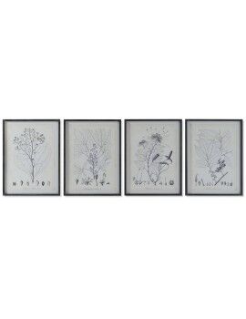 Cuadro DKD Home Decor Moderno Plantas botánicas 45 x 2,5 x 60 cm (4 Unidades)