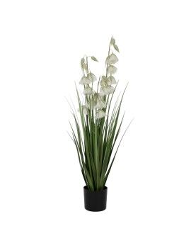 Planta Decorativa PVC Cemento Tejido 91 cm