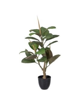 Planta Decorativa Polietileno Hierro PEVA Roble 76 cm