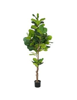 Planta Decorativa Poliuretano Cemento Ficus 200 cm