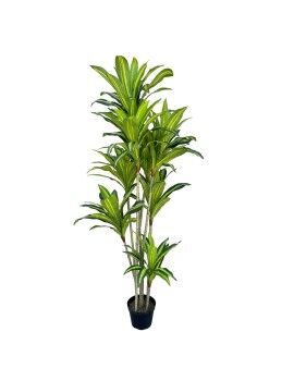 Planta Decorativa Poliuretano Cemento 180 cm