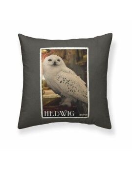 Capa de travesseiro Harry Potter Hedwig 50 x 50 cm