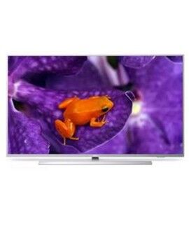 Smart TV Philips 43HFL6114U/12 4K Ultra HD 43"