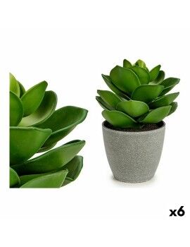 Planta Decorativa Gris Verde (16 x 21 x 16 cm) (6 Unidades)