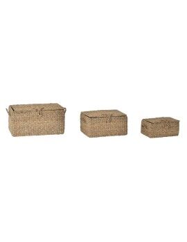 Conjunto de Cestas DKD Home Decor Com tampa Natural Ferro Zostera marina (50 x 34 x 25 cm) (3 Peças)