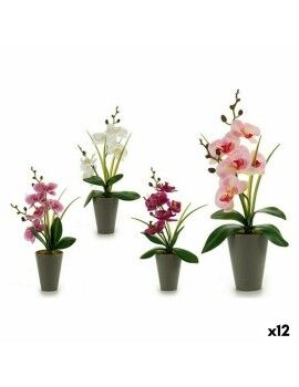 Planta Decorativa Orquídea Plástico 8 x 35 x 14 cm (12 Unidades)