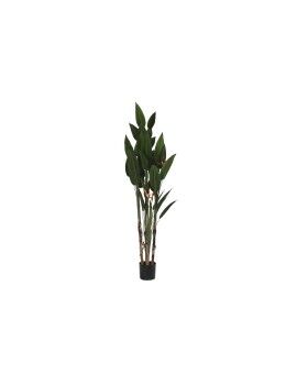 Planta Decorativa DKD Home Decor (90 x 90 x 200 cm)