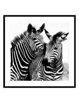 Cuadro Zebra Cristal (2 x 50 x 50 cm)