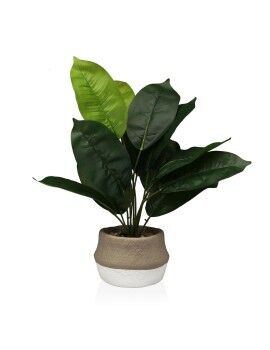 Planta Decorativa Versa 15...