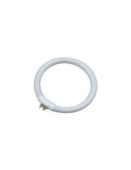 Tubo fluorescente EDM 30287 Recarga Circular T4 Branco 12 W (6500 K)