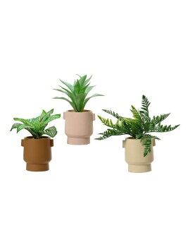 Planta Decorativa EDM 808559 Maceta 25 cm