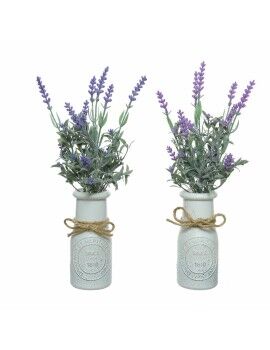 Planta Decorativa Everlands Vaso Lavanda (Ø 13 x 32 cm)