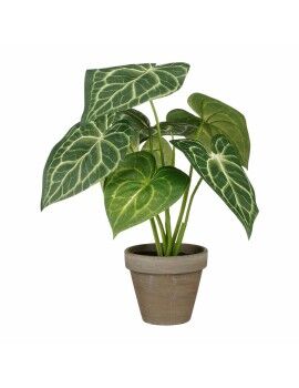 Planta Decorativa Mica Decorations Caladium Ø 21 x 28 cm Artificial