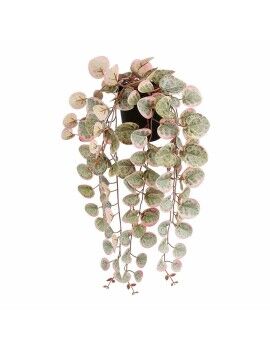 Planta Decorativa Mica Decorations Ceropegia Woodii 10 x 46 x 12 cm Artificial Para colgar