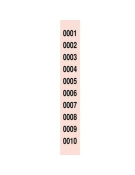 Tiras de Números para Rifa R-980/1 (10 Unidades)