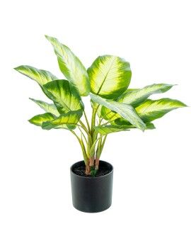 Planta Decorativa Alexandra House Living Plástico Aglaonema 50 cm