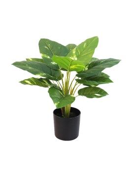 Planta Decorativa Alexandra House Living Plástico 50 cm