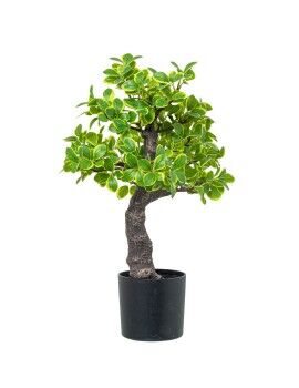 Planta Decorativa Alexandra House Living Plástico Fusain 45 cm