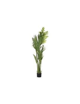 Planta Decorativa DKD Home Decor Palmeras Verde PE (50 x 50 x 180 cm)