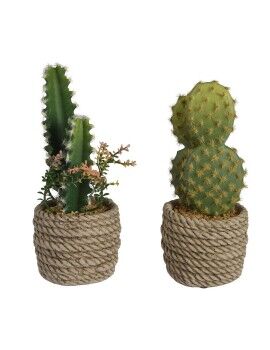 Planta Decorativa EDM 808447 Catos 28 cm